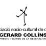 Gerard Collins Photo 34