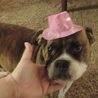 Amy Rose Photo 26