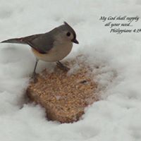 Nancy Buell Photo 25