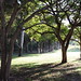 Milton Lang Photo 14