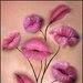 Smita Thapa Photo 9