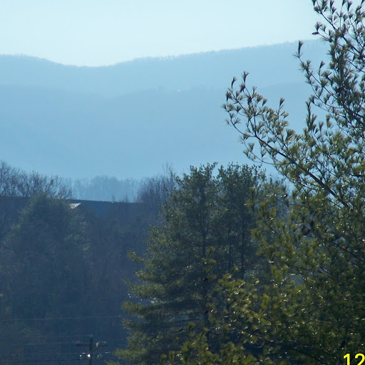 Tina Mccloud Photo 14