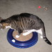 Amy Kilgore Photo 34