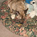 Becky Patton Photo 15