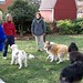 Terese Kelly Photo 7