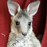 Lesley Russell Photo 7