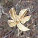 Sharon Newton Photo 12