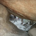 Joshua Tubb Photo 10