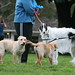 Kelly Wilcox Photo 27