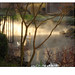 Roy Swan Photo 12