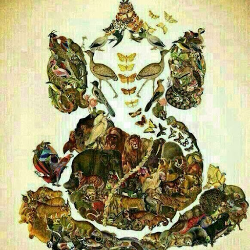Sumit Singhal Photo 12