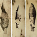 Christine Waterhouse Photo 10