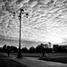 Dawn Parker Photo 26