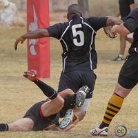 Lee Langston Photo 9