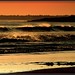 Patricia Shores Photo 16