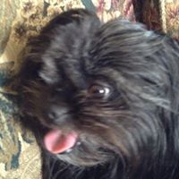 Katie Lowery Photo 6