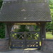 Mary Aldridge Photo 21