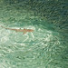 Karl Robertson Photo 18