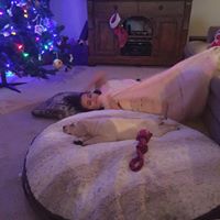 Vicki Wolf Photo 20