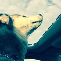Jennifer Shute Photo 11