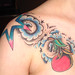 Mark Calcaterra Photo 8