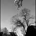 Marcus Garrett Photo 45