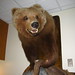 Susan Beaver Photo 25