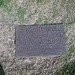 Alexander Foreman Photo 8