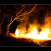Matthew Burns Photo 30