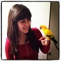 Denisse Robles Photo 6