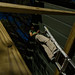 Jennifer Rafter Photo 10