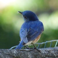 Linda Eberly Photo 23