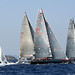 Charles Ogden Photo 17