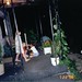 Bobbie Lindsey Photo 7
