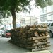 Deborah Martins Photo 18