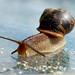 Gary Shell Photo 4