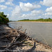 Steve Zapata Photo 15