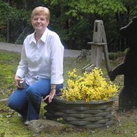 Judy Wyatt Photo 12