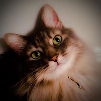Heather Herold Photo 11