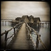 Constance Weathers Photo 3