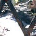 Ann Rust Photo 13
