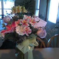 Jackie Gustafson Photo 11