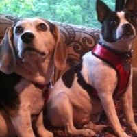 Sherry Rowe Photo 29
