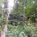 Bethany Hill Photo 29