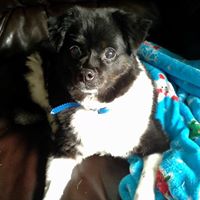 Amy Tharp Photo 24