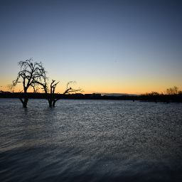 Scott Sutton Photo 5