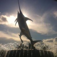 Matthew Bogle Photo 7