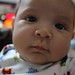 Damien Alexander Photo 19