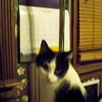 Robin Arrowood Photo 9