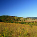Virginia Meadows Photo 17